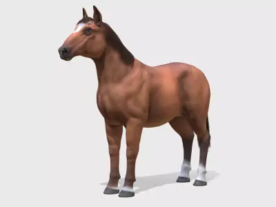 Horse - Stallion Low-poly 3D model