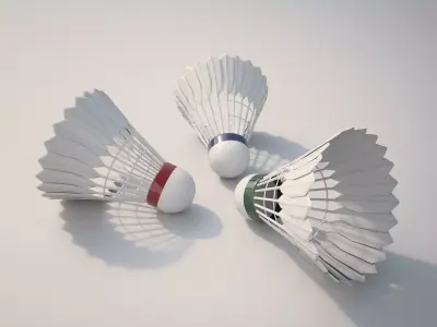 Badminton Balls 3D model