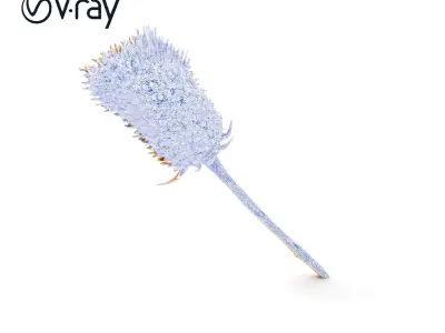 Thistle Model Pack  Detailed Botanical D Model Low-poly 3D model