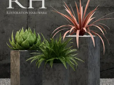 Plants vol 1 restoration hardware planters 3D model