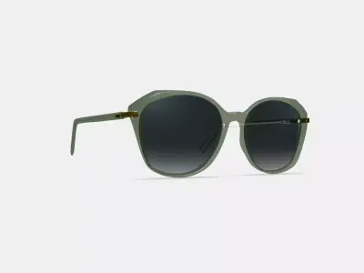 Nancy Sunglasses in Palm Crystal with Polished Gold 3D model