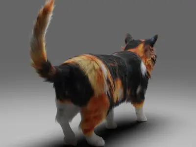 Fur Calico Cat V04 No Rigged Low-poly 3D model