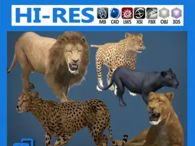 Pack - Wild Felines 3D model