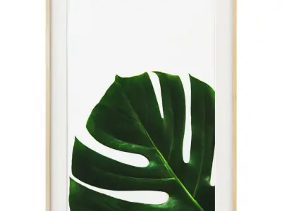 Monstera leaves gallery wall 3D model