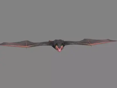 Cartoon Bat Low-poly 3D model purchase
