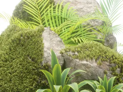 Rock and Tropical Plants 3D Model Collection Vol 297 Low-poly 3D model
