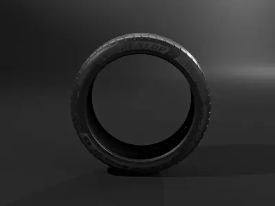 Tyre Dunlop 3D model