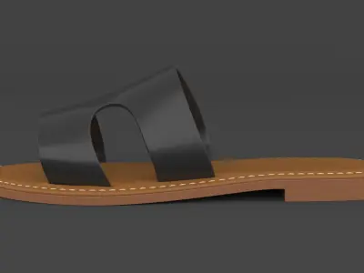 Slide Sandal 3D model