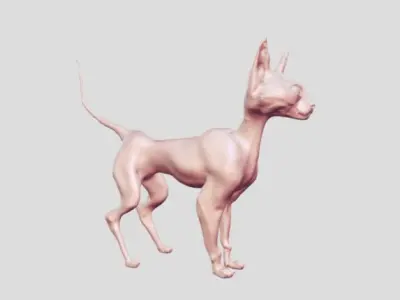 cat bald 3D print model