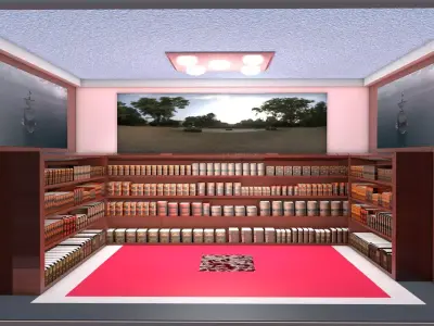 3D Book shelves  Free 3D model