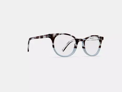 Virginia Eyeglasses in Icecap Tortoise Fade 3D model