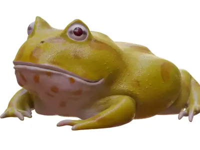 Frog Yellow 3D model