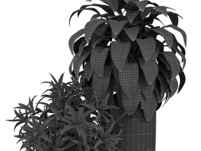 Plants collection 283 Fleurami ROYAL  3D model