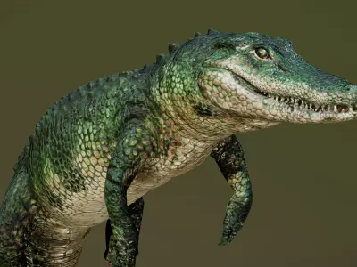  American Alligator 3D model