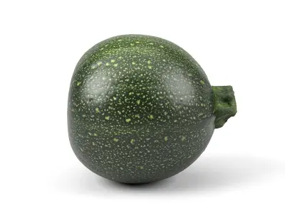 Photorealistic Round Zucchini 3D Scan 3D model
