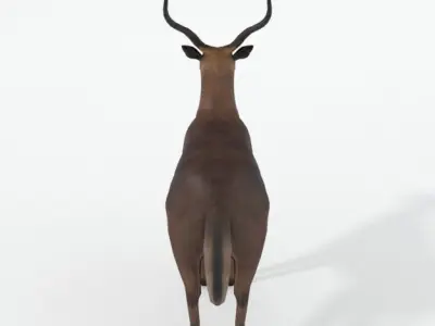 Impala antelope Low-poly 3D model