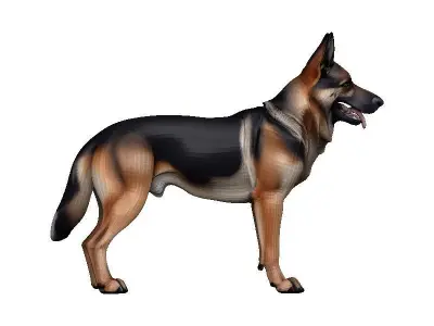 Germanshep Low-poly 3D model