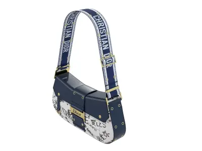 Dior Street Chic Bag Blue Print 3D model