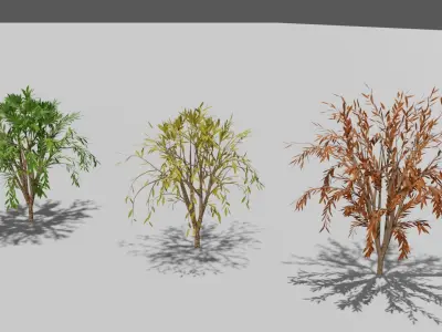Season Tree Pack 3D model