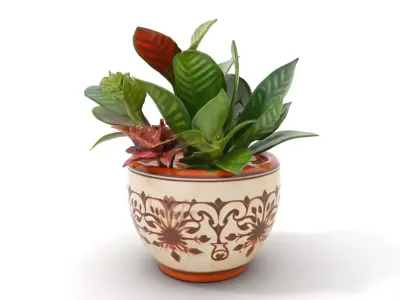 Decorative Ceramic Planter model pack Low-poly 3D model