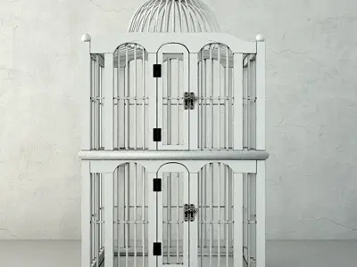 Dallon Decorative Cage by ZARA HOME 3D model