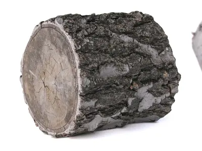 Stump with an ax 3D model