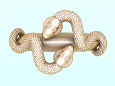 Snake ring - N843 3D print model