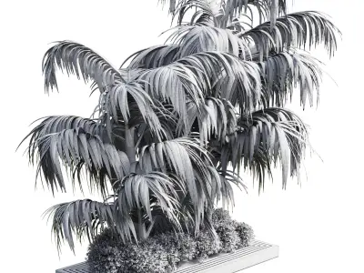 Collection Outdoor plant in garden tree palm- wood pot 02 Low-poly 3D model