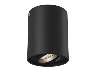 052017 Binoco Lightstar Spotlight 3D model