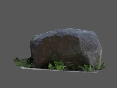 Rock in grass Free 3D model