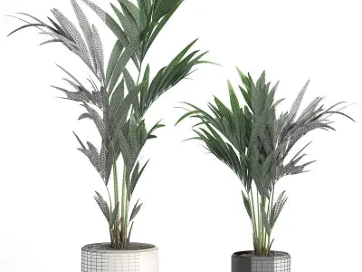 Decorative palm in a white flowerpot 566 3D model