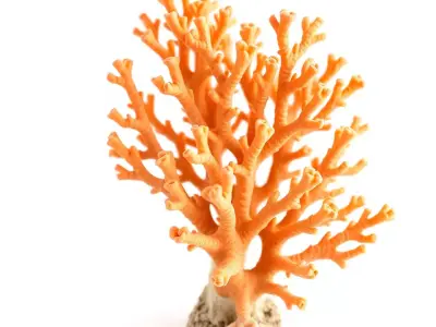 Orange Coral Sculpture model pack Low-poly 3D model