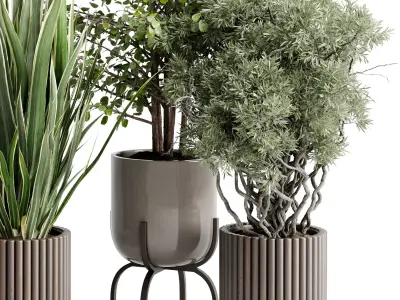 Tree bush palm plant in a Wooden pot - Indoor Plant 662  3D model