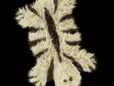 Bear Rug 01 3D model