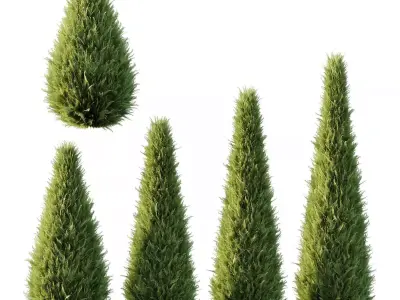 Excellent collection of Tree plants 18 Different Models 0024