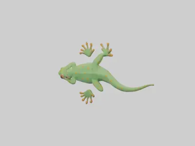 Gecko climbing wall model Low-poly 3D model