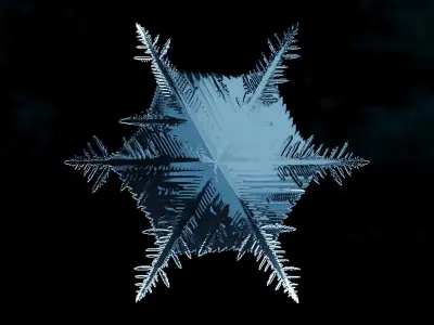Snowflake growing animation with blender file 3D model