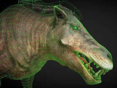 Daeodon Low-poly 3D model