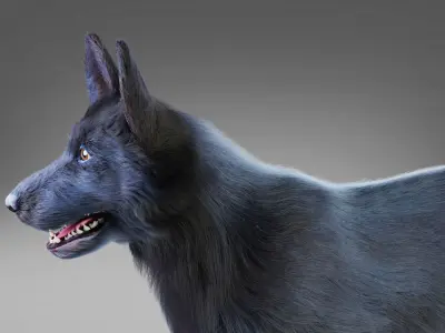 Fur Black Dog NO Rig Low-poly 3D model