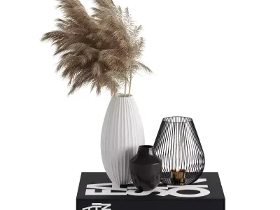 Decorative Set - With Dried Flowers- Vase -Candle and Book  3D model