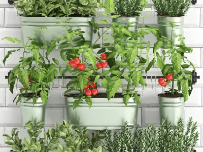 decorative plants for the kitchen on railing 380 3D model