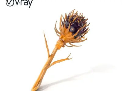 Luxurious Thistle Gold Accent Model Pack Low-poly 3D model