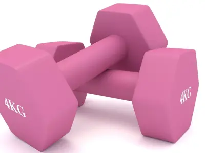 Dumbbells 4kg 3D model