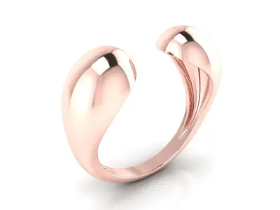 Ring 114 3D print model