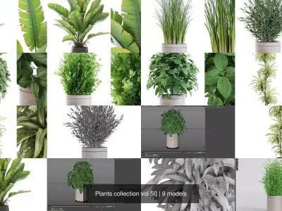 Plants collection vol 50