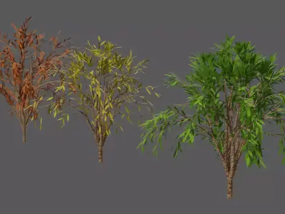 Season Tree Pack 3D model