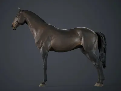 Horse - 3D Sculpting - TPose 3D model