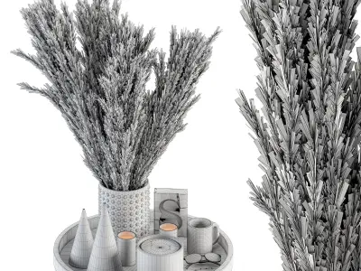 Decorative Set Dried Plants and Pampas - Set 53 3D model