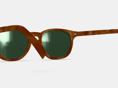 Toddy Sunglasses in Sequoia Tortoise 3D model