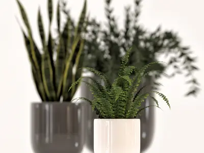 Collection of plants-003 3D model